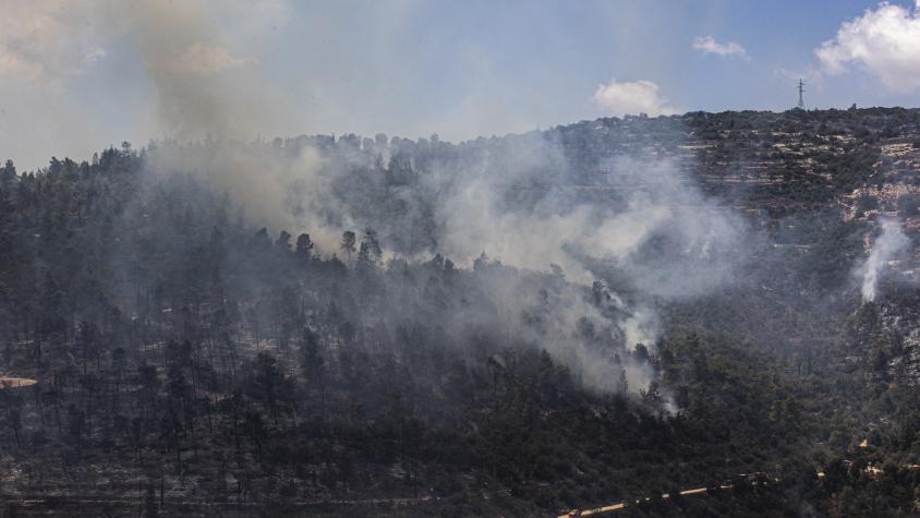 Zweitägige Waldbrände in Jerusalemer Bergen - Vimarsana News